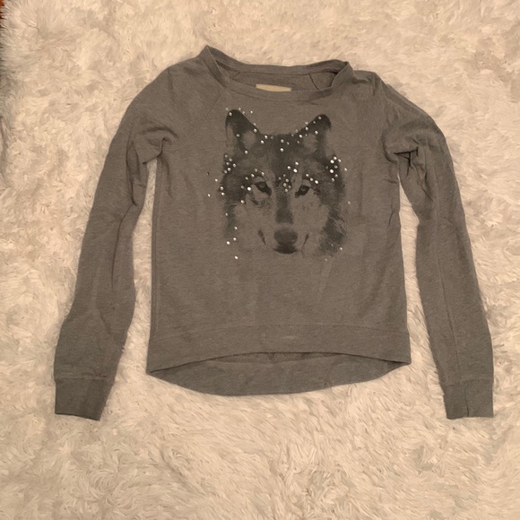 Hollister Tops - Hollister wolf sweatshirt long sleeves size XS